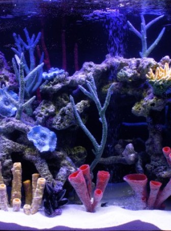 Кораллы искусственные