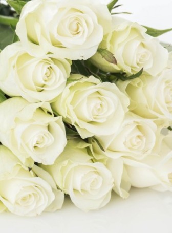 Картинки с днем рождения картинки белые розы