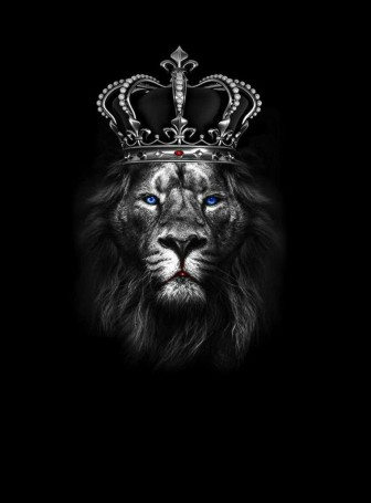 Картинки лев с короной на голове