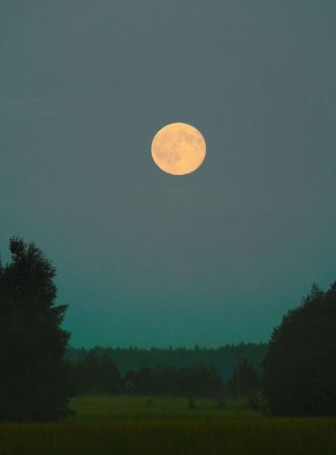Луна поднималась и освещала дорогу поле и дома спящей деревни