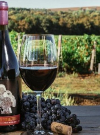 Международный день вина