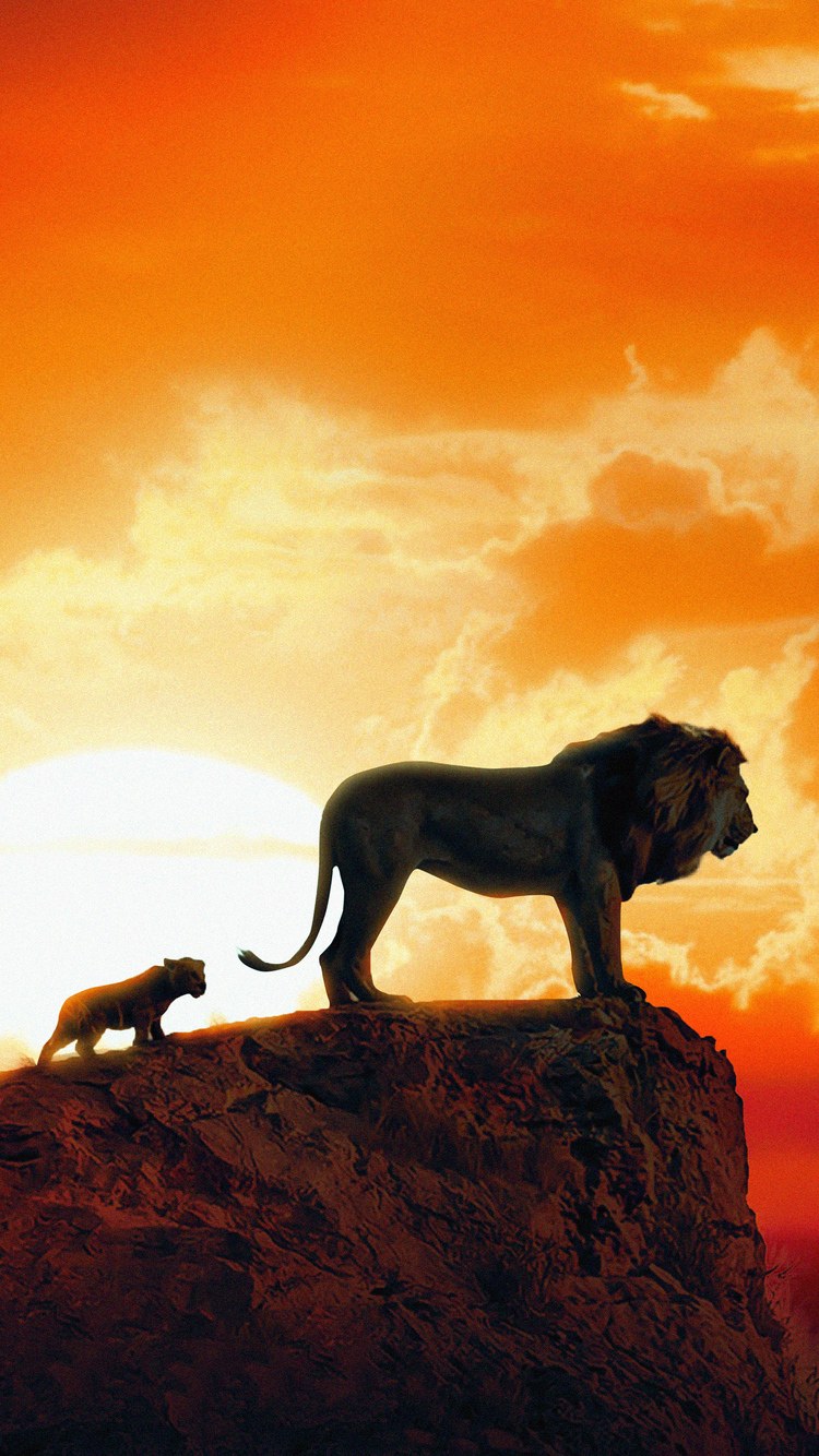 8 Львов Король Лев