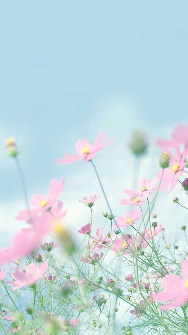 Цветы в пастельных тонах