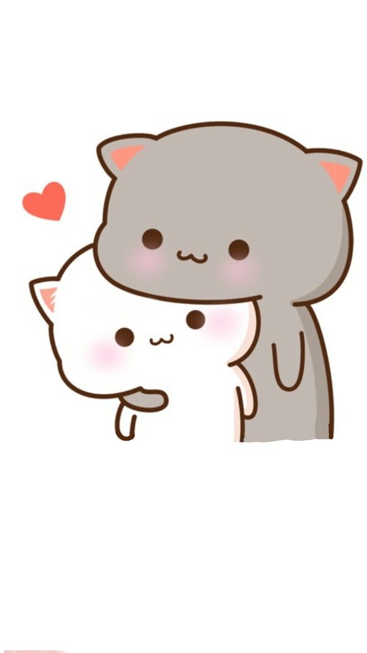 Кавайные котики парочка