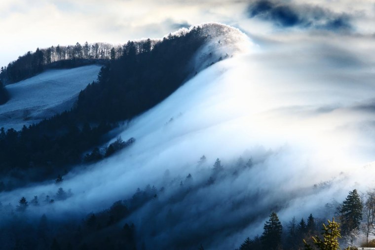 Туманный лес Анды горы