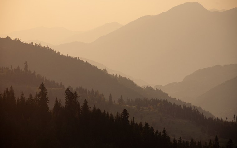 Пейзаж в коричневых тонах