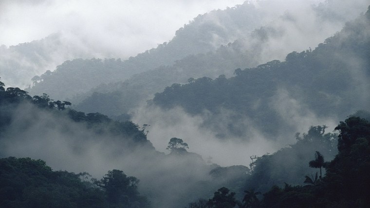 Коста-Рики туманный лес Монтеверди