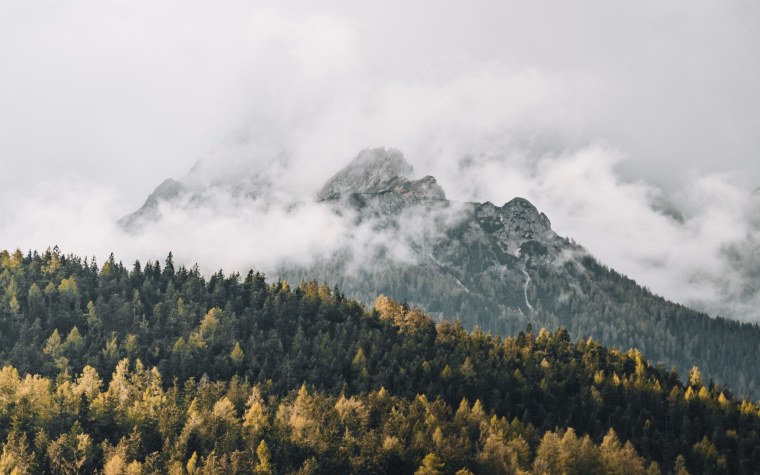 Горы и лес в тумане 4к