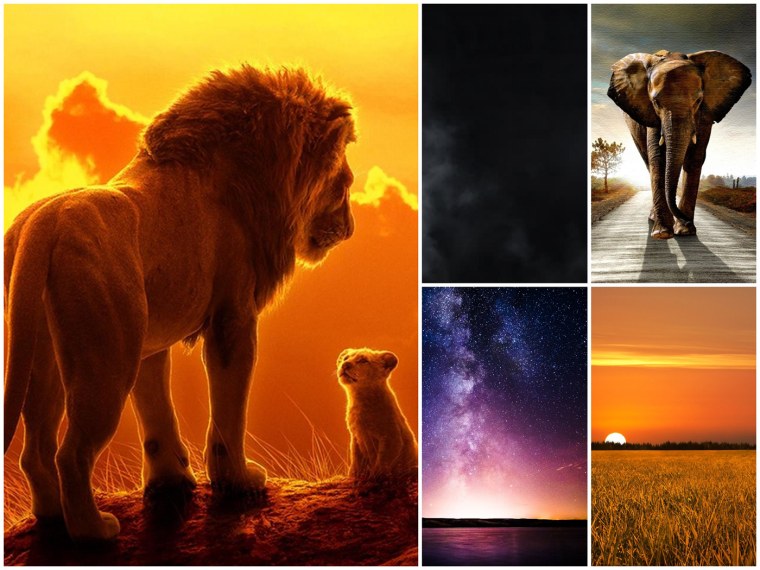 Король Лев обои