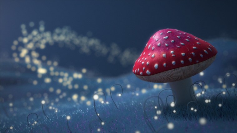 Мухомор красный