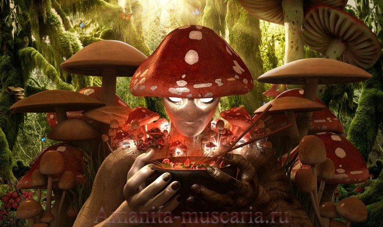 Инди КИД грибы