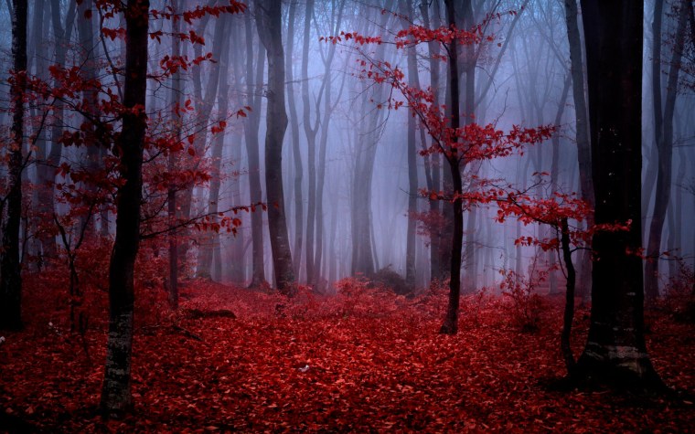 Багровый лес