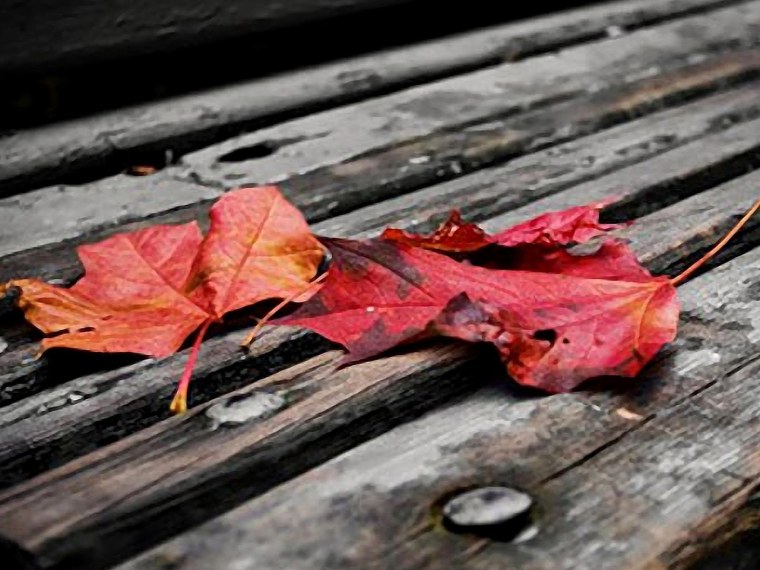 Осень грусть