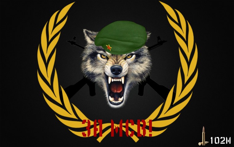 День мотострелковых войск