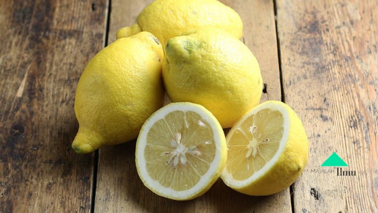 Срез лимона