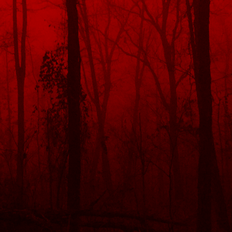 Бордовые листья