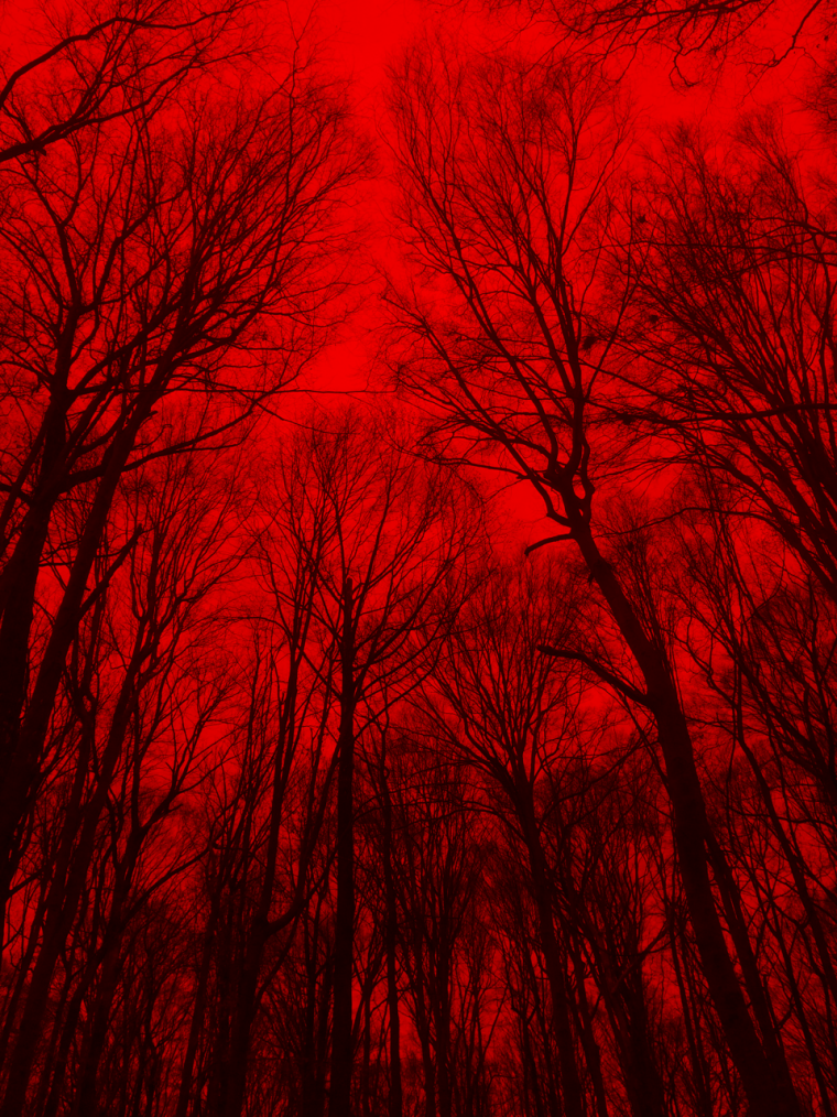 Пейтон красный Эстетика