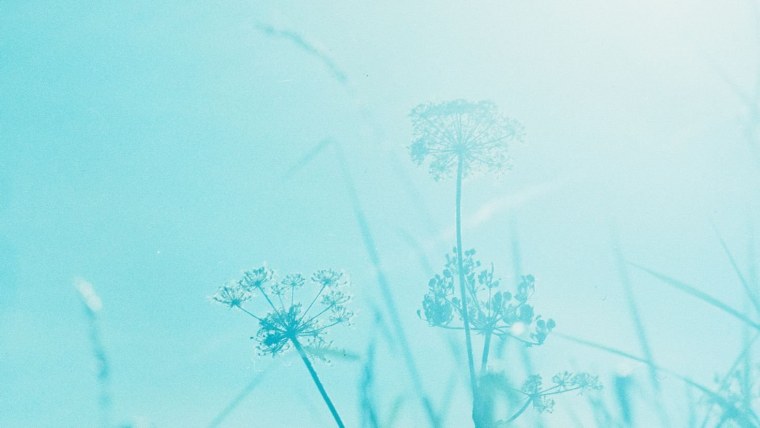 Эстетика голубого