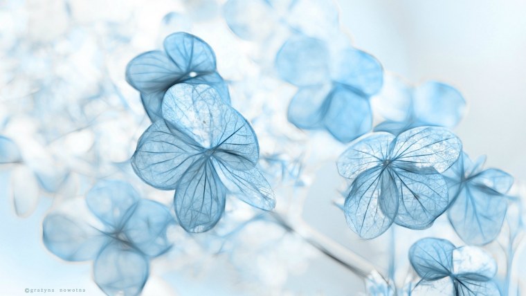 Розовый неон