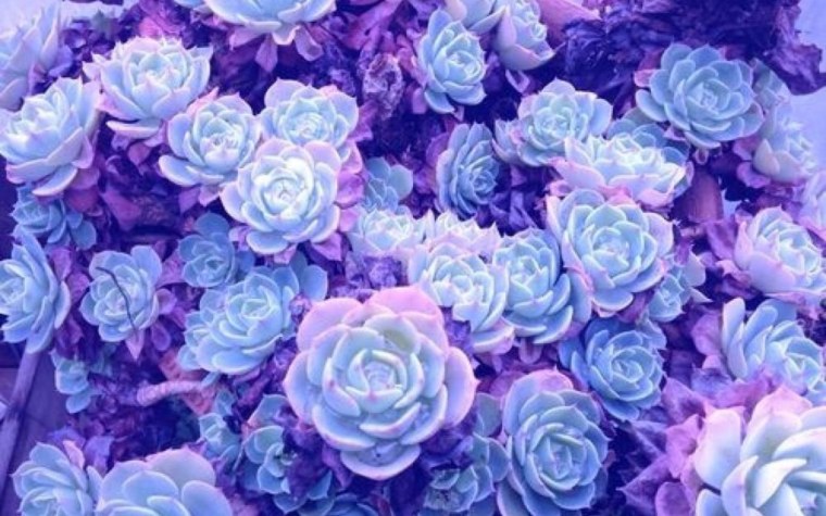 Эстетика светло голубого