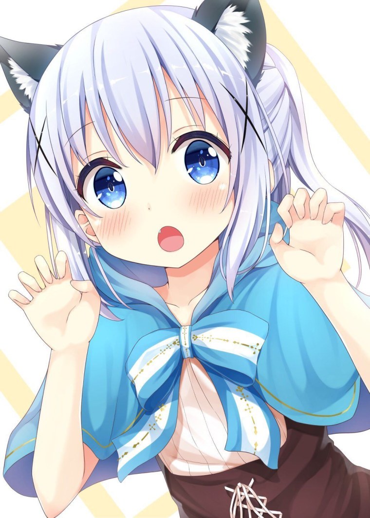 Chino kafuu Чиби