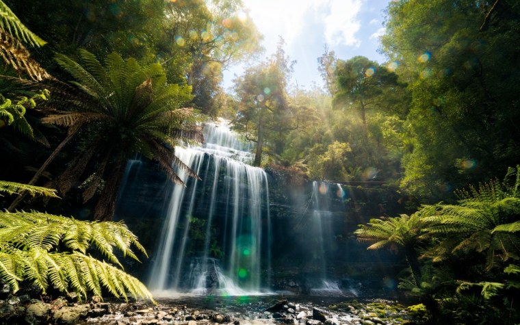 Водопад в джунглях