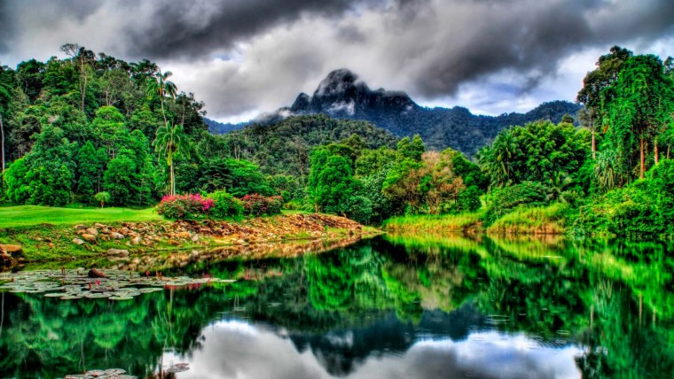 Красивая природа тропиков