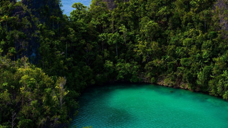 Озеро в тропическом лесу