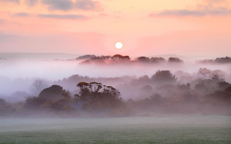 Нежный пейзаж