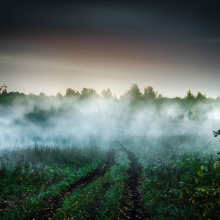 Шишкин туманное утро