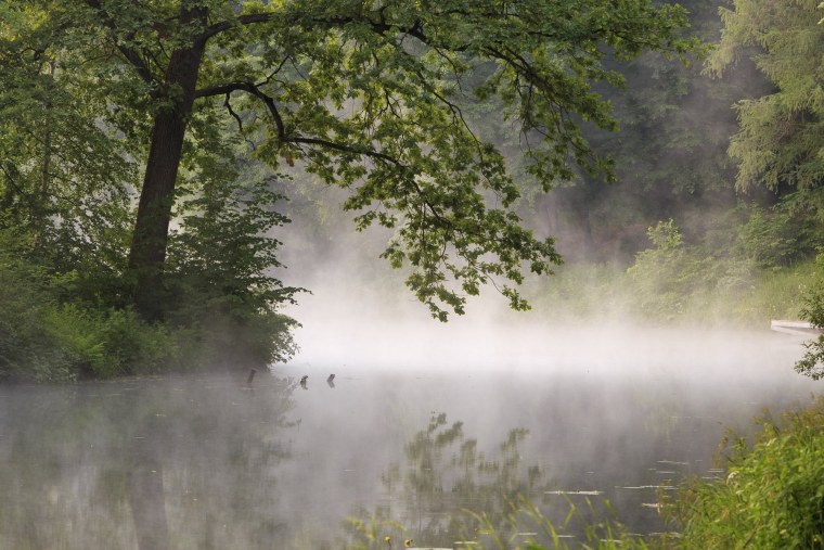 Оз Среднесатыгинский туман