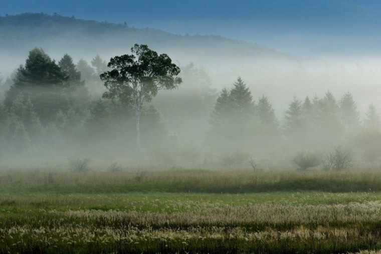 Природа туман