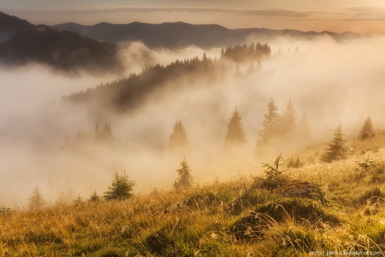 Красивый туман