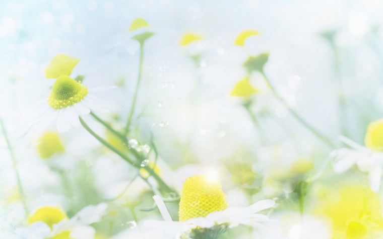 Весенние цветы подложка