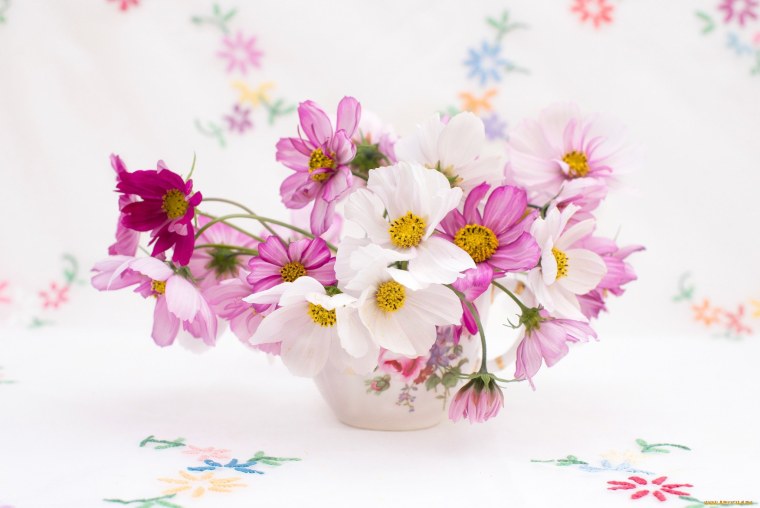 Космея букет нежный