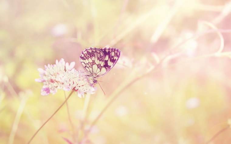 Нежные цвета