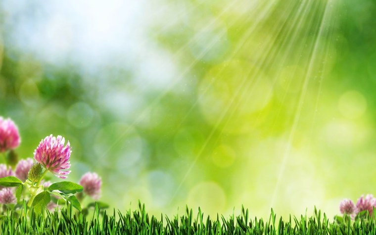 Фон для презентации лето