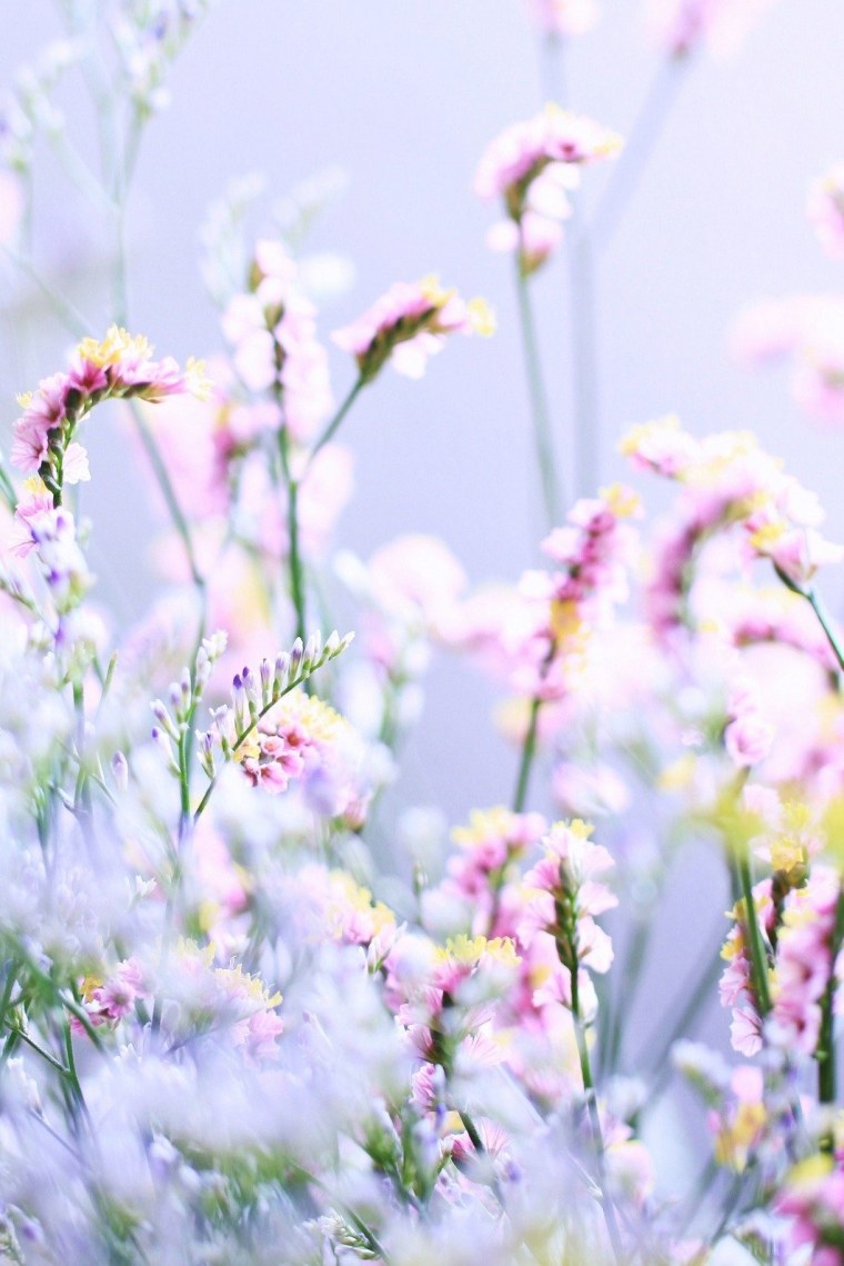 Цветочный фон