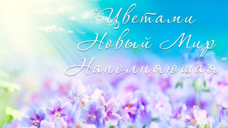 Розовые полевые цветы