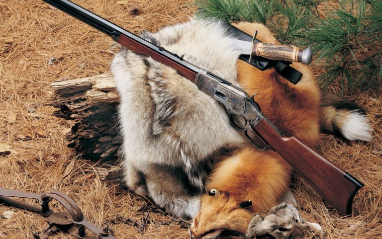 Обои на рабочий стол охота