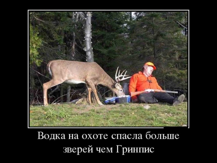 Приколы про охотников
