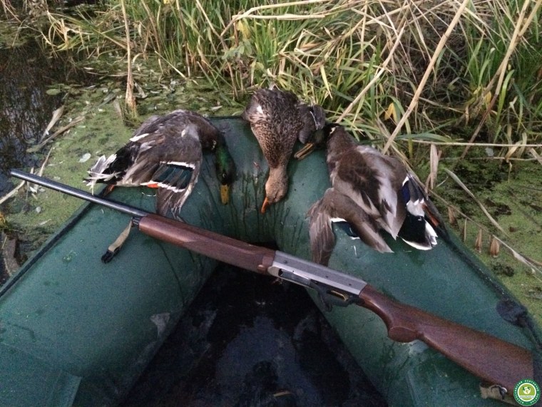 Приколы на рыбалке и охоте