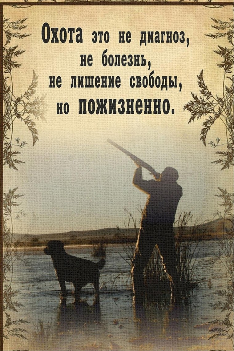 Высказывания про охоту