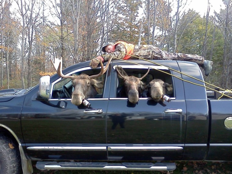 Хорошей охоты