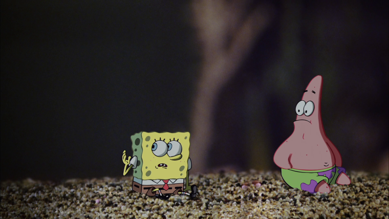 Патрик Старр