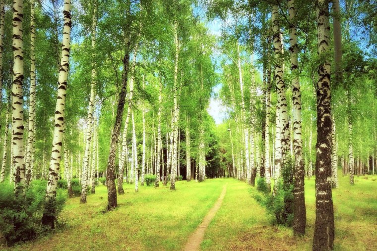 Обои на рабочий стол 1920х1080 природа