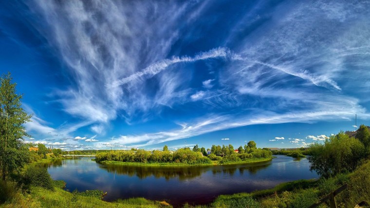 Летний пейзаж