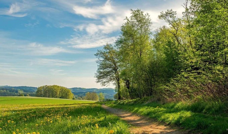 Пейзаж лето