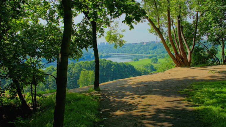 Ясная Поляна мостик через ручей Толстого