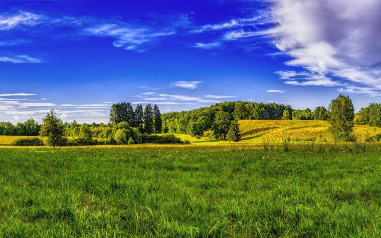 Бунин Луга зазеленели
